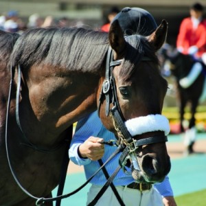東京４Ｒ　２歳新馬