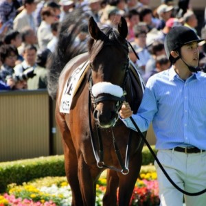 東京４Ｒ　２歳新馬