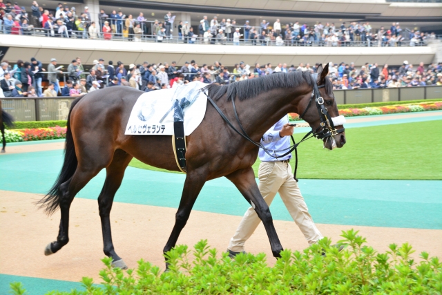 東京３Ｒ　２歳未勝利 ペルセヴェランテ