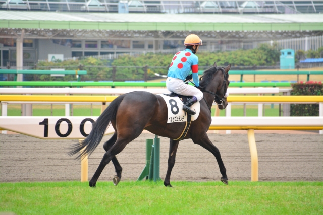 東京３Ｒ　２歳未勝利 ペルセヴェランテ