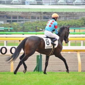 東京３Ｒ　２歳未勝利