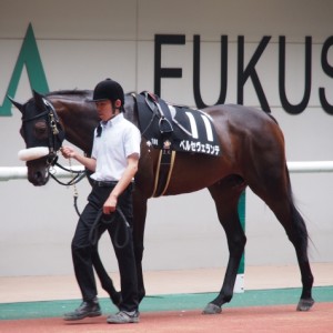 パドック