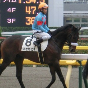 ２歳未勝利優勝時