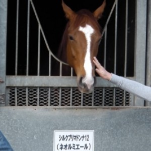 ノーザンファーム天栄