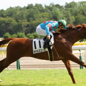 2014.9.20 2歳新馬