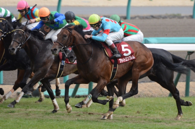 弥生賞 ブライトエンブレム