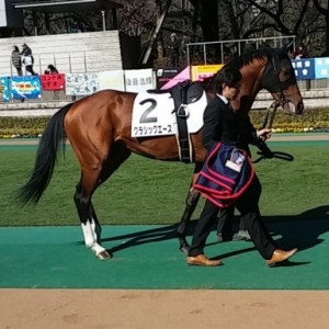 2月１日東京競馬場３歳未勝利戦パドック