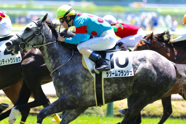 ３歳未勝利ー直線差しかけてるところ ラダームブランシェ