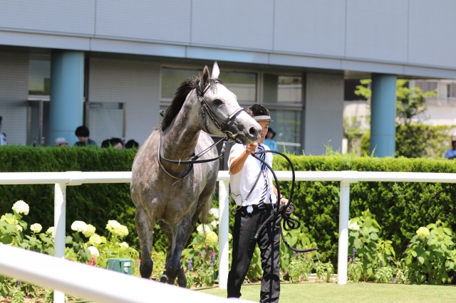 ３歳未勝利ーウィナーズサークル2 ラダームブランシェ