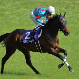 2015/5/10 東京11Ｒ NHKマイルC