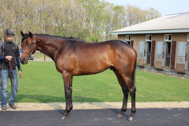 2014/6　NF空港 グランシルク