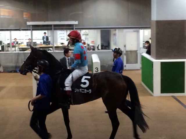 テレビ山梨杯本場馬入場時の地下馬道検量室前 ジャポニカーラ