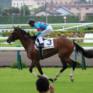 新馬返し馬