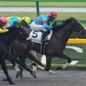 2歳未勝利