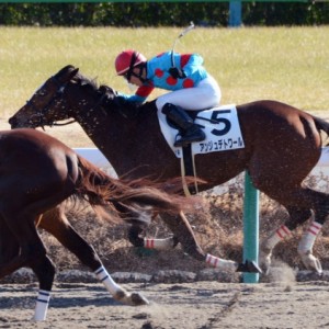 3歳未勝利