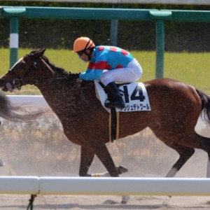 3歳未勝利