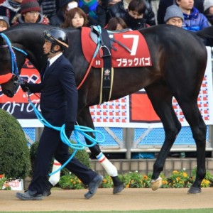 ホープフルＳ（パドック）