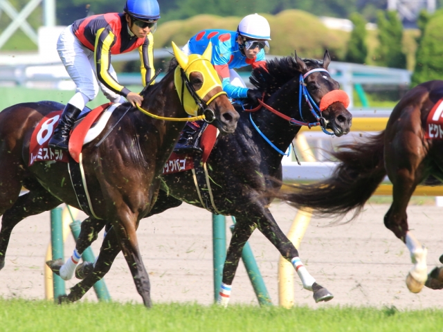 青葉賞（レース） ブラックバゴ