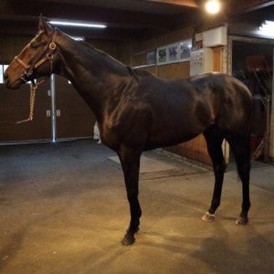 2016年11月 NF空港にて