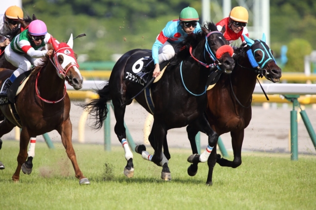 ジューンS (レース) ブラックバゴ