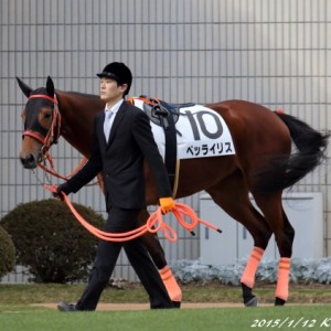 新馬戦パドック