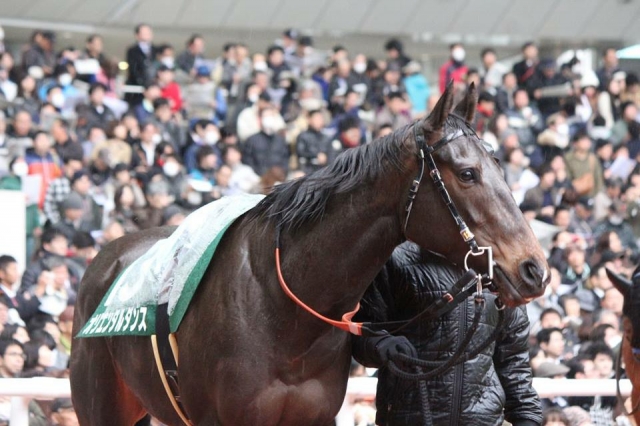 チューリップ賞に挑戦 オリエンタルダンス