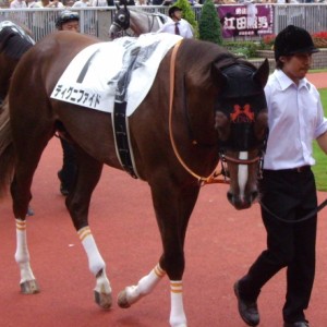 2014/08/10　２歳新馬　パドック