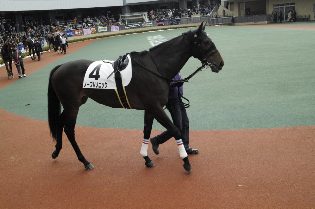 2014/12/20中京競馬場２歳新馬戦 ノーブルソニック