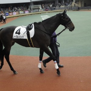 2014/12/20中京競馬場２歳新馬戦