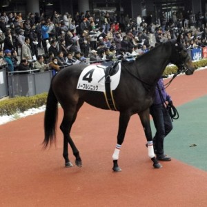 2014/12/20中京競馬場２歳新馬戦