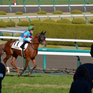 2014年12月21日 2歳未勝利返し馬