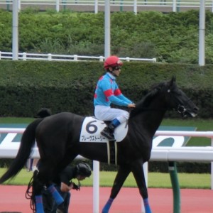 新馬戦