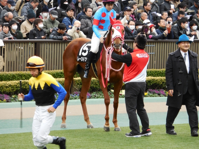 パドック レーヌドブリエ