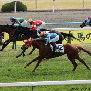 2/7　未勝利戦