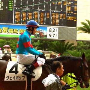 新馬戦パドック