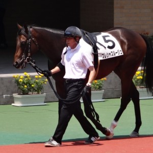 新馬戦パドック