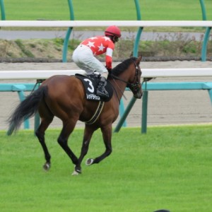 ４月４日　中山９Ｒ山吹賞　馬場入場