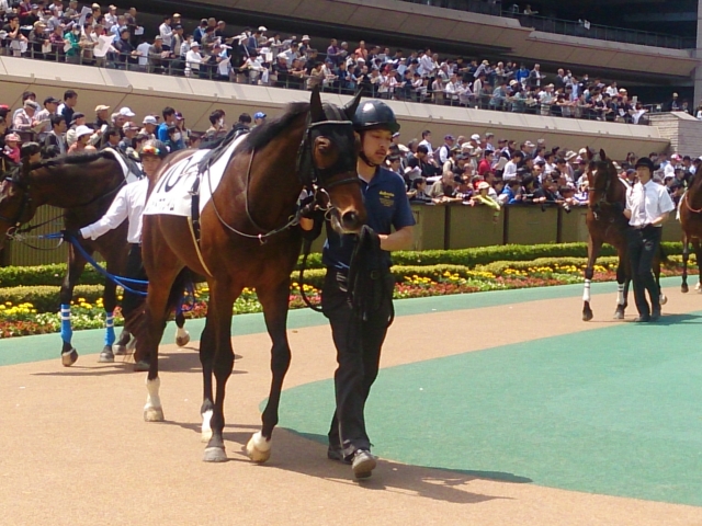 15.4.26  3歳未勝利(初出走) レッドアフレイム
