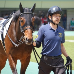 未勝利戦パドック