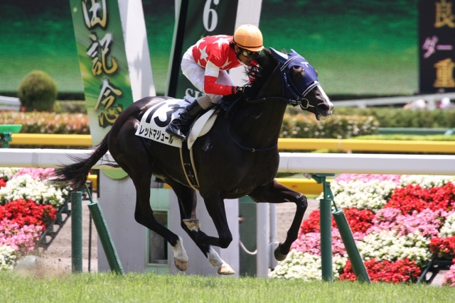 初勝利 レッドマジュール