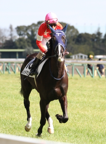 返し馬 レッドマジュール