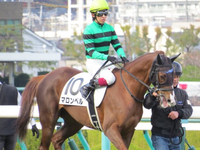 新馬戦　放馬後騎乗 マロンベル