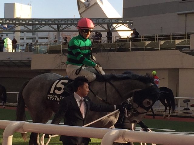 パドック3 マキシマムドパリ