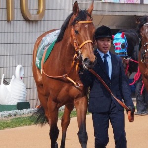 京都牝馬Ｓパドック