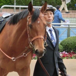 船橋S優勝時パドック１