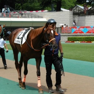 5月24日東京3R　未勝利戦　D1600m