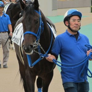 新馬戦パドック