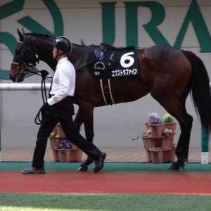 土湯温泉特別　パドック