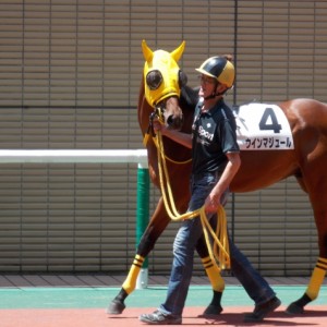新馬戦