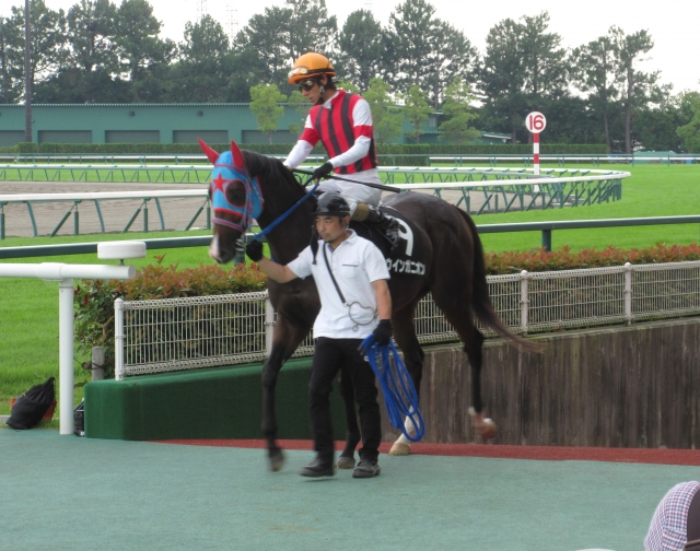 本馬場入場 ウインガニオン